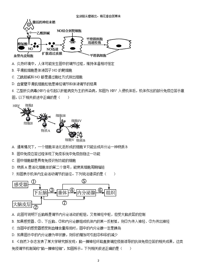 2025-2026学年新疆喀什地区疏勒县上学期高二期末生物试卷（学生版）第2页