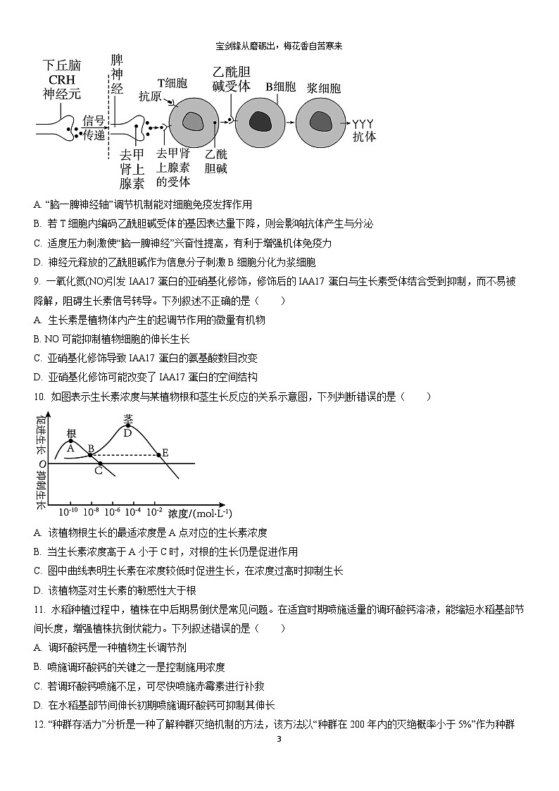 2025-2026学年新疆喀什地区疏勒县上学期高二期末生物试卷（学生版）第3页