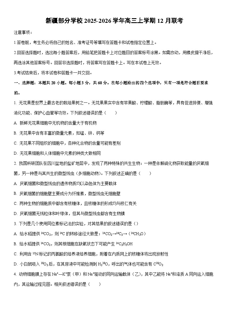 2025-2026学年新疆部分学校高三上学期12月联考生物试卷（学生版）第1页
