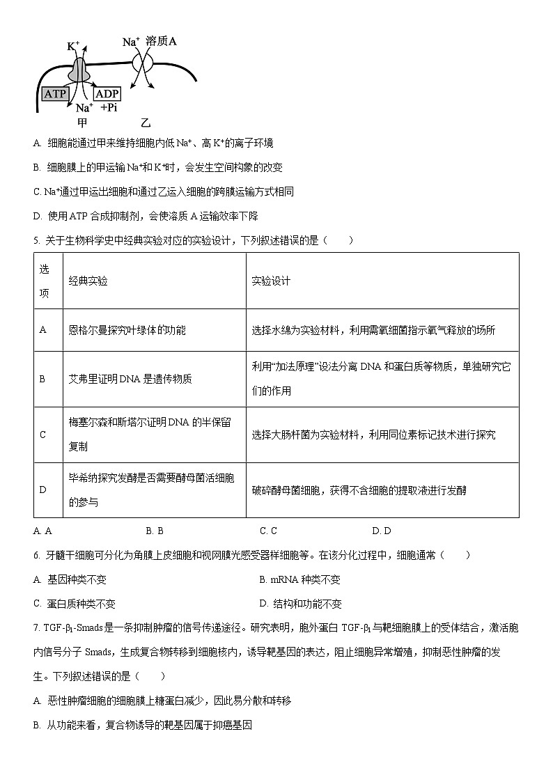 2025-2026学年新疆部分学校高三上学期12月联考生物试卷（学生版）第2页