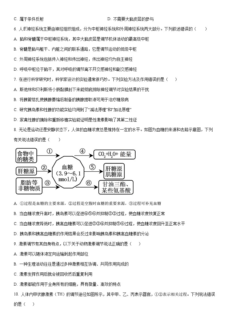 2025-2026学年新疆维吾尔自治区喀什地区莎车县高二上学期11月期中生物试卷（学生版）第2页