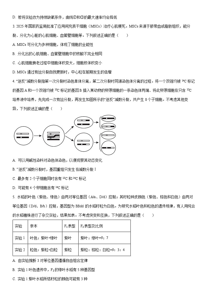2025-2026学年山东省济宁市高三上学期期末生物试卷（学生版）第2页