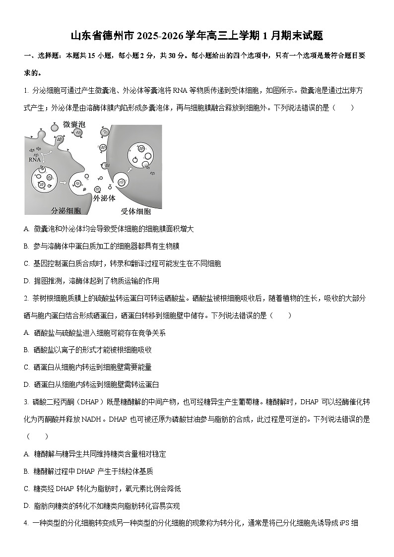 2025-2026学年山东省德州市高三上学期1月期末生物试卷（学生版）第1页