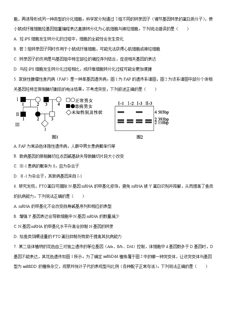 2025-2026学年山东省德州市高三上学期1月期末生物试卷（学生版）第2页