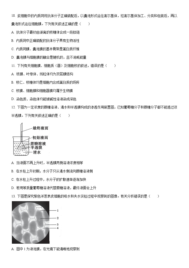 2025-2026学年安徽省皖江名校联盟高一上学期12月联考生物试卷（学生版）第3页