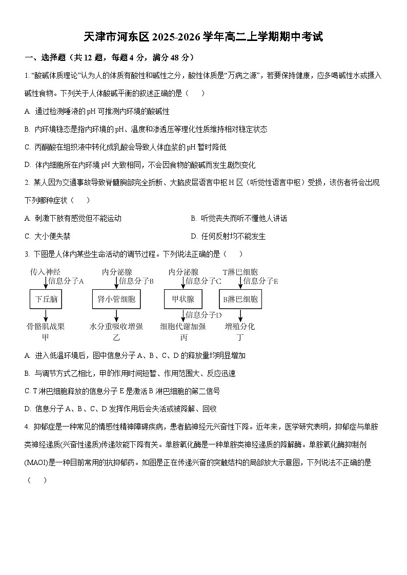 2025-2026学年天津市河东区高二上学期期中考试生物试卷（学生版）第1页