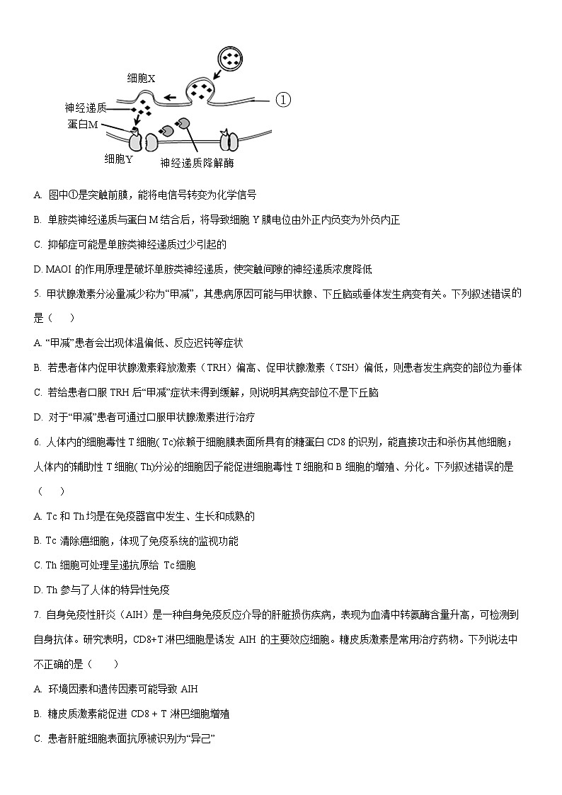 2025-2026学年天津市河东区高二上学期期中考试生物试卷（学生版）第2页