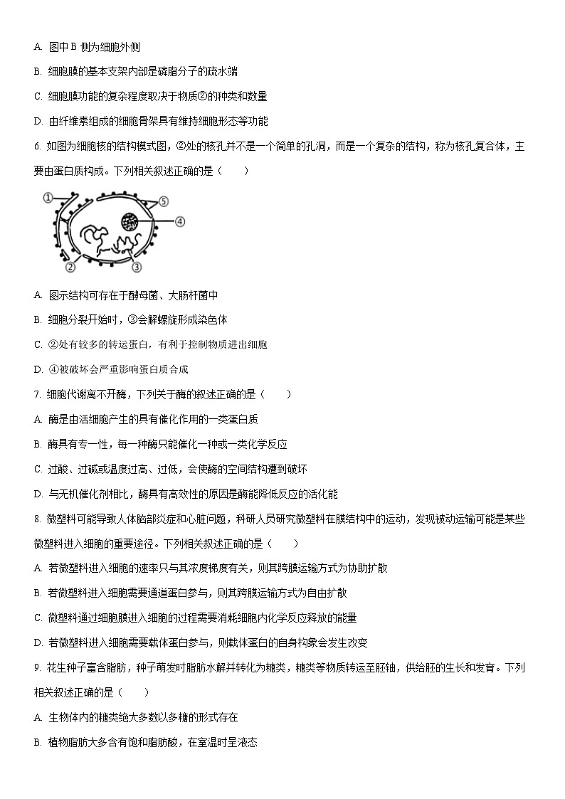 2025-2026学年吉林省延边朝鲜族自治州高一上学期期末生物试卷（学生版）第2页