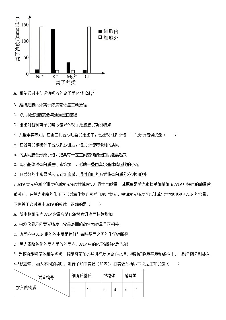 2025-2026学年吉林省吉林地区普通高中高一上学期期末调研测试生物试卷（学生版）第2页