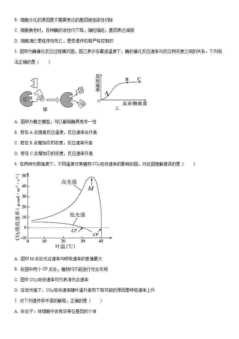 2025-2026学年吉林省吉林市高三上学期第二次调研考试生物试卷（学生版）第2页