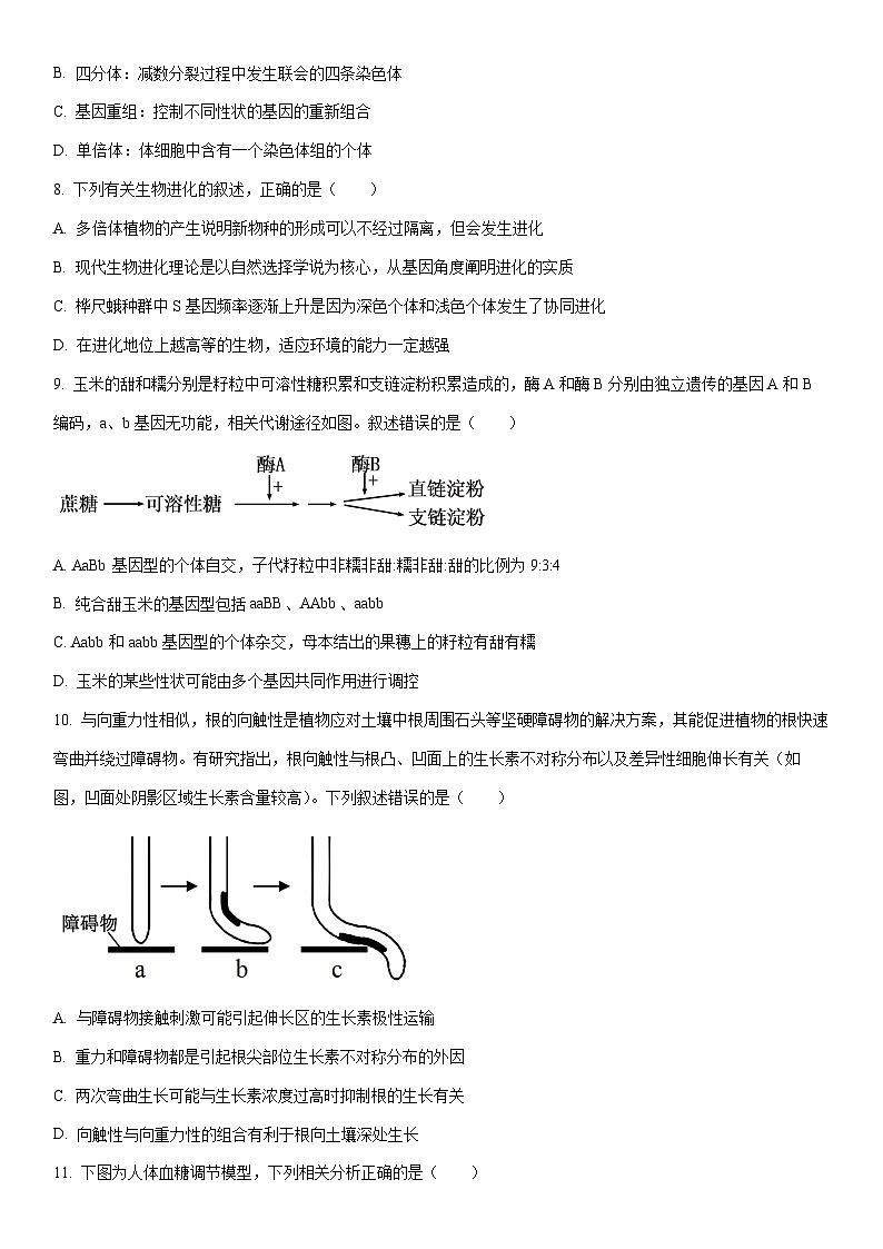 2025-2026学年吉林省吉林市高三上学期第二次调研考试生物试卷（学生版）第3页