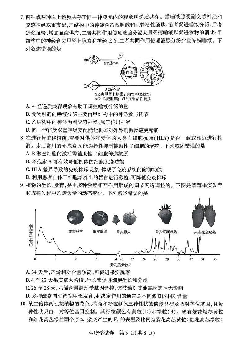 2026届安徽省滁州市高三一模教学质量监测 生物试题及答案第3页