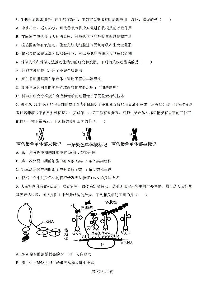 2026届安徽宿州市上学期高三一模教学质量检测 生物试题+答案解析第2页