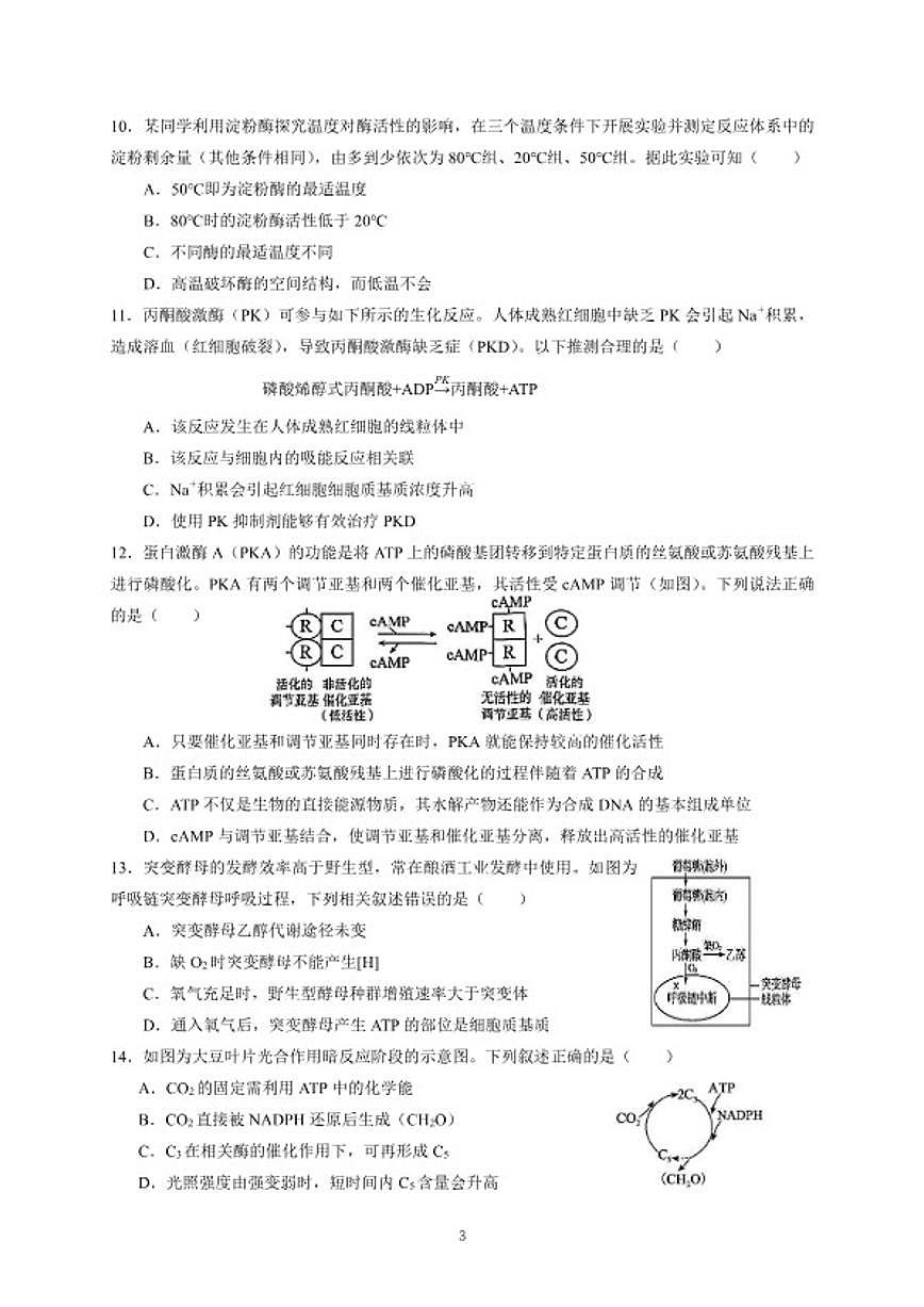2025-2026学年广东省广州市广东实验中学高一上学期期末考试生物试题（含答案）第3页