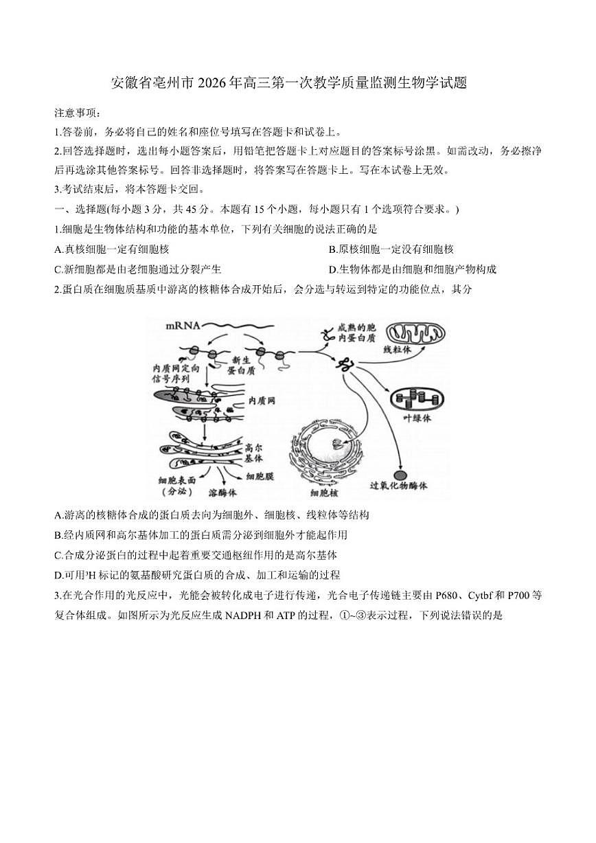 安徽省亳州市2026年高三上第一次教学质量监测生物学试题（含答案）第1页
