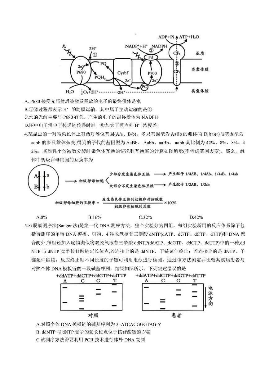 安徽省亳州市2026年高三上第一次教学质量监测生物学试题（含答案）第2页