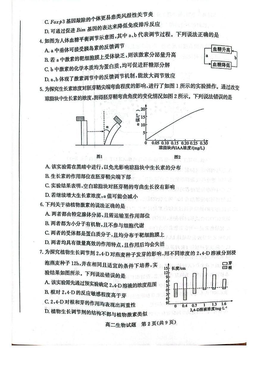 2025-2026学年山东滨州市高二上学期2月期末生物试题（含答案）第2页
