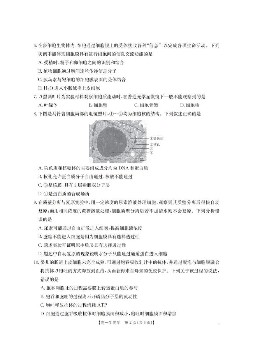 2025-2026学年甘肃省定西地区高一上学期1月期末生物学试卷（含答案）第2页