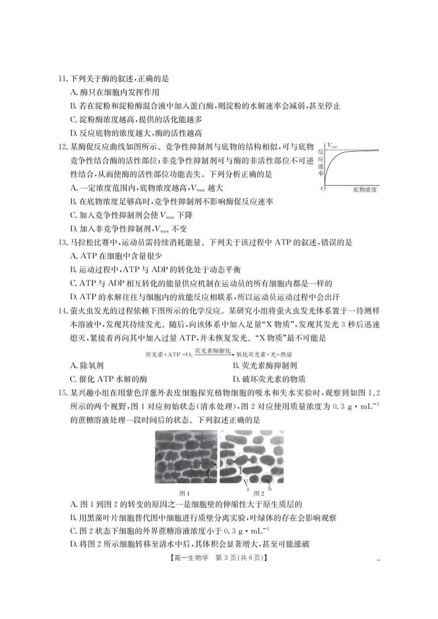 2025-2026学年甘肃省定西地区高一上学期1月期末生物学试卷（含答案）第3页