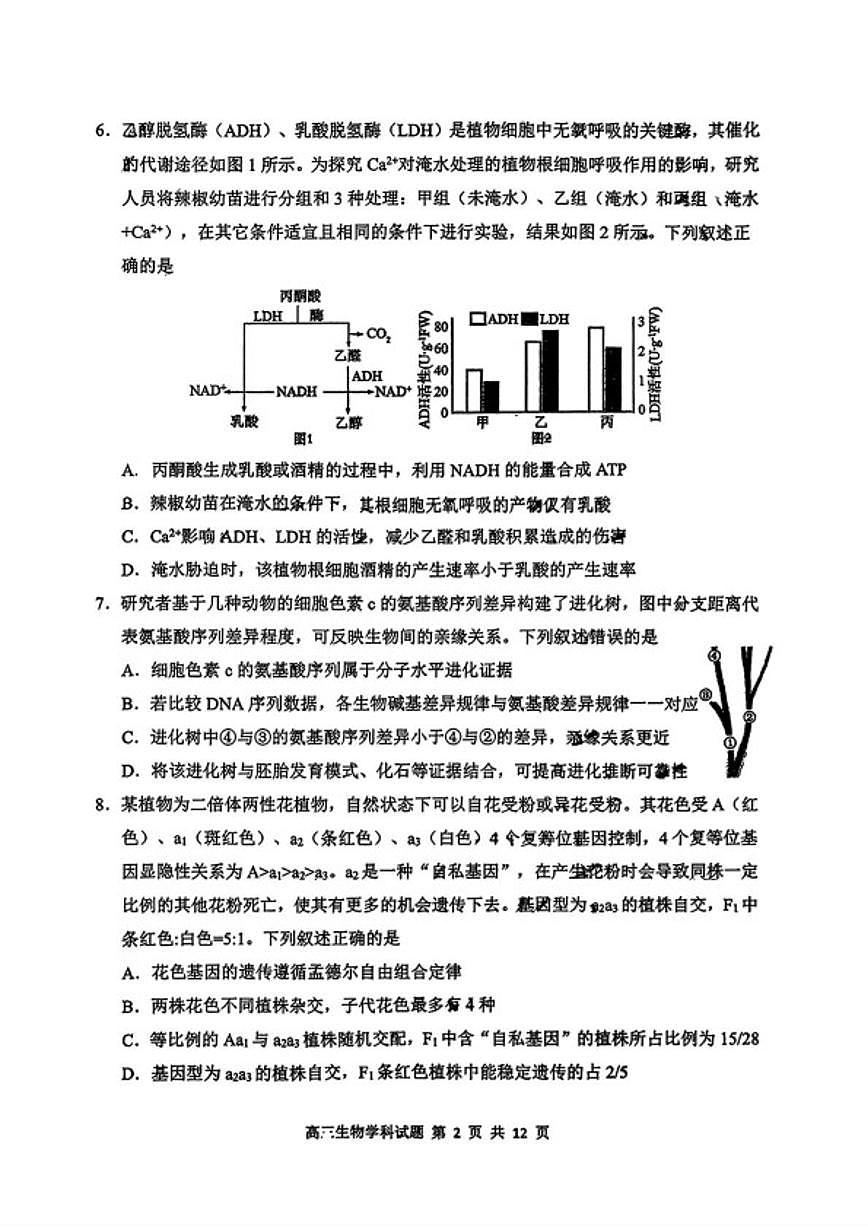 2025-2026学年吉林长春市东北师范大学附属中学高三上学期期末考试生物试卷（含答案）第2页