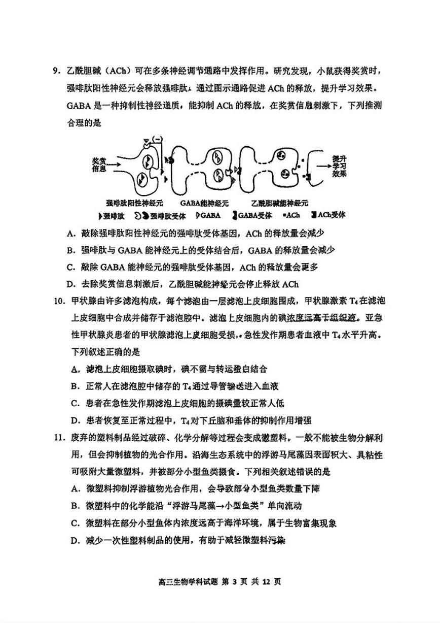 2025-2026学年吉林长春市东北师范大学附属中学高三上学期期末考试生物试卷（含答案）第3页