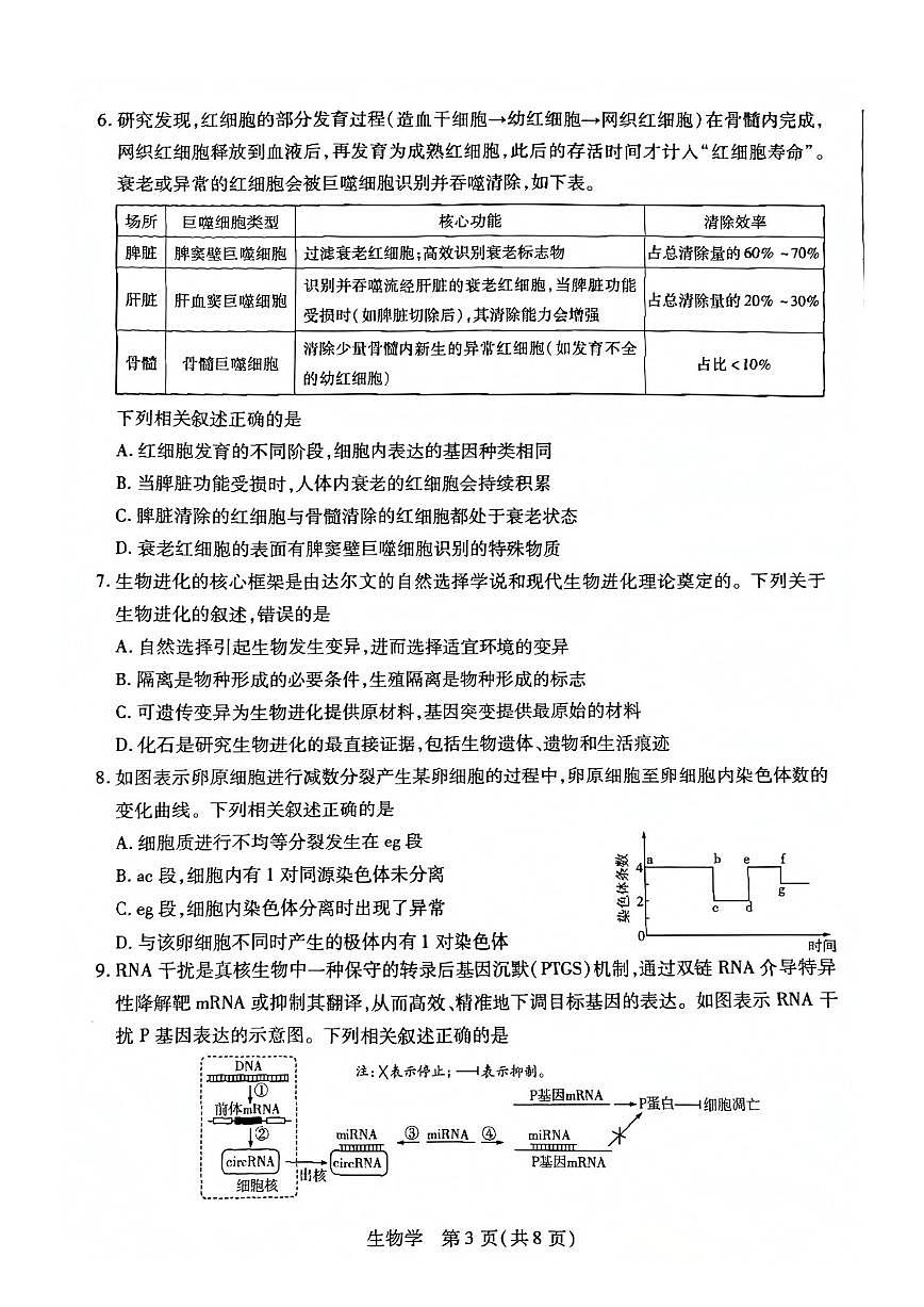 2025-2026学年安徽省亳州市高三第一学期期末质量检测生物试题（含答案）第3页