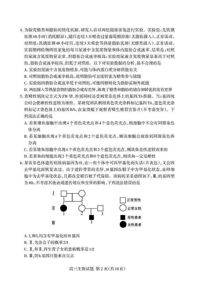 2025-2026学年山东省泰安市高三上学期2月期末生物学试题（含答案）第2页