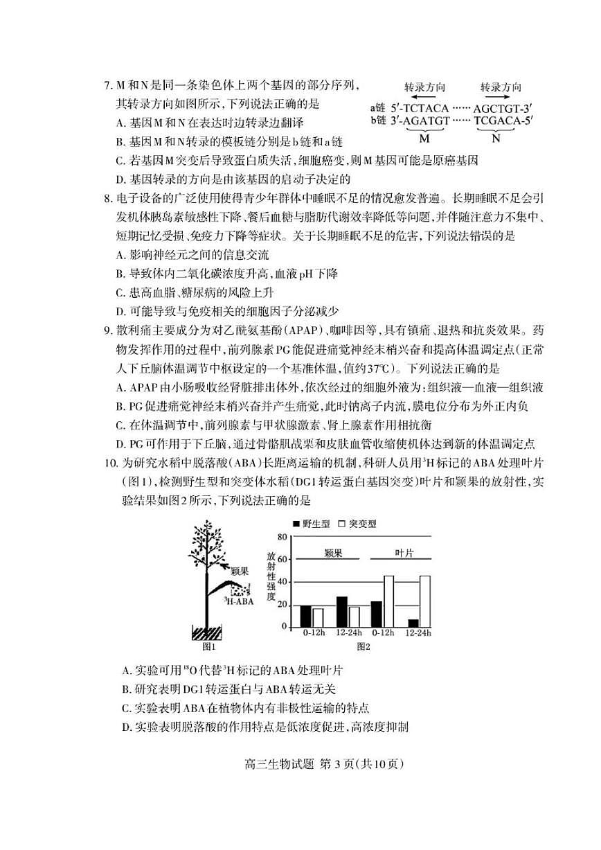 2025-2026学年山东省泰安市高三上学期2月期末生物学试题（含答案）第3页
