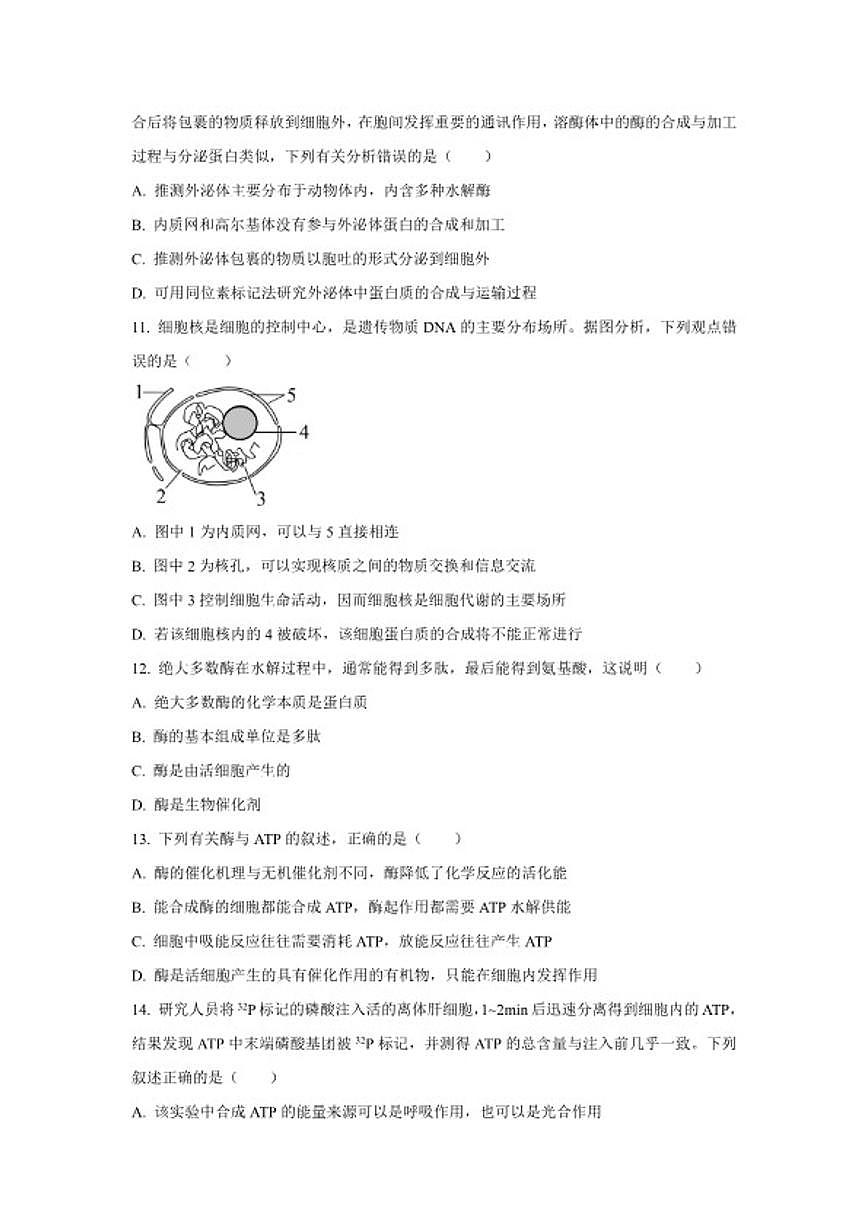 2024-2025学年广西柳州高级中学等部分校高一上学期期末考试生物试题（含答案）第3页