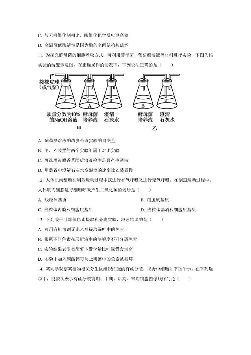 2024-2025学年贵州省黔东南苗族侗族自治州高一上学期1月期末考试生物试题（含答案）第3页
