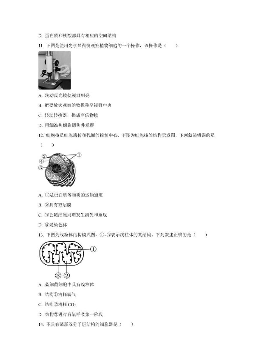 2024-2025学年江苏省南京市高中高一上学期期末考试生物试题（含答案）第3页
