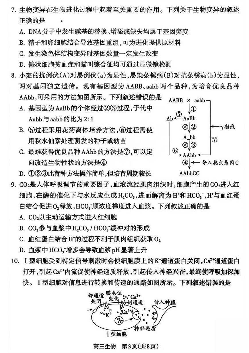 2025-2026学年山西吕梁市高三第一学期期末调研测试生物试卷（含答案）第3页