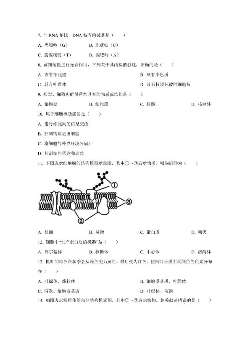 2024-2025学年江苏省无锡市高一上学期期终教学质量调研测生物试题（含答案）第2页