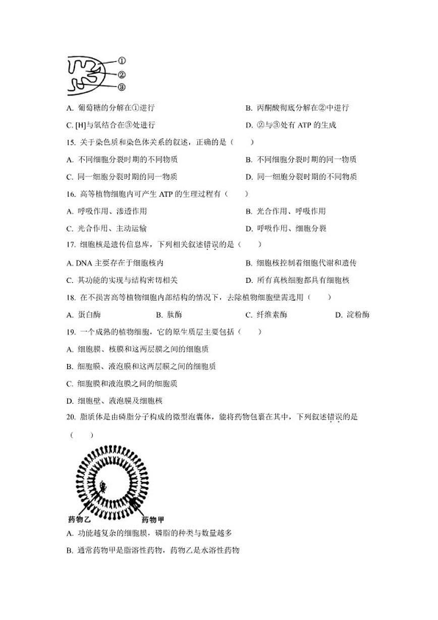 2024-2025学年江苏省无锡市高一上学期期终教学质量调研测生物试题（含答案）第3页