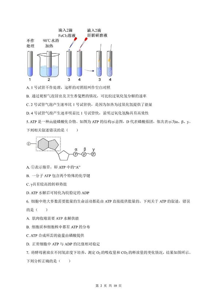 2024-2025学年山西省太原市高一上学期1月期末考试生物试题（含答案）第2页