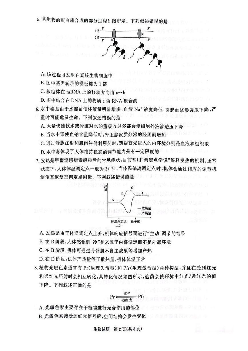 河南长垣市普通高中2025——2026学年(上)高三年级上期末考试生物试卷（含答案）第2页