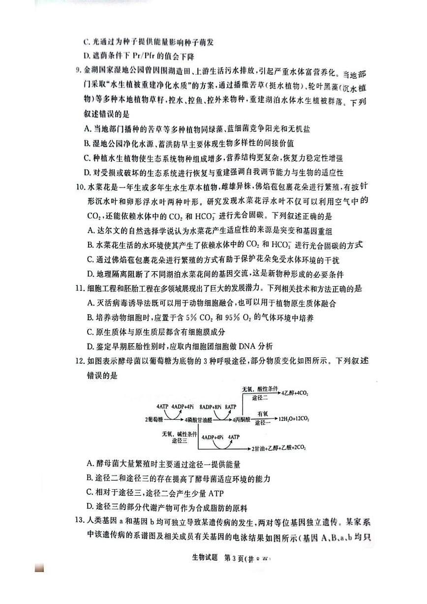 河南长垣市普通高中2025——2026学年(上)高三年级上期末考试生物试卷（含答案）第3页