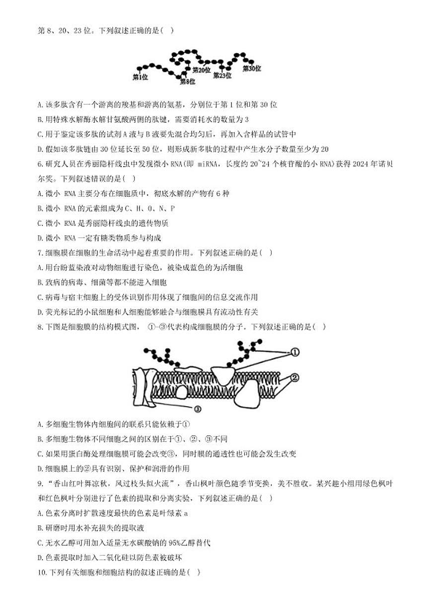 2025-2026学年广东省深圳市高级中学等校第一学期高一生物期末测试题（含答案）第2页