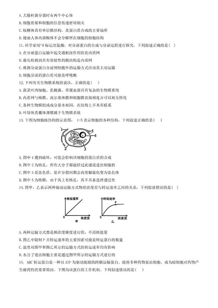 2025-2026学年广东省深圳市高级中学等校第一学期高一生物期末测试题（含答案）第3页