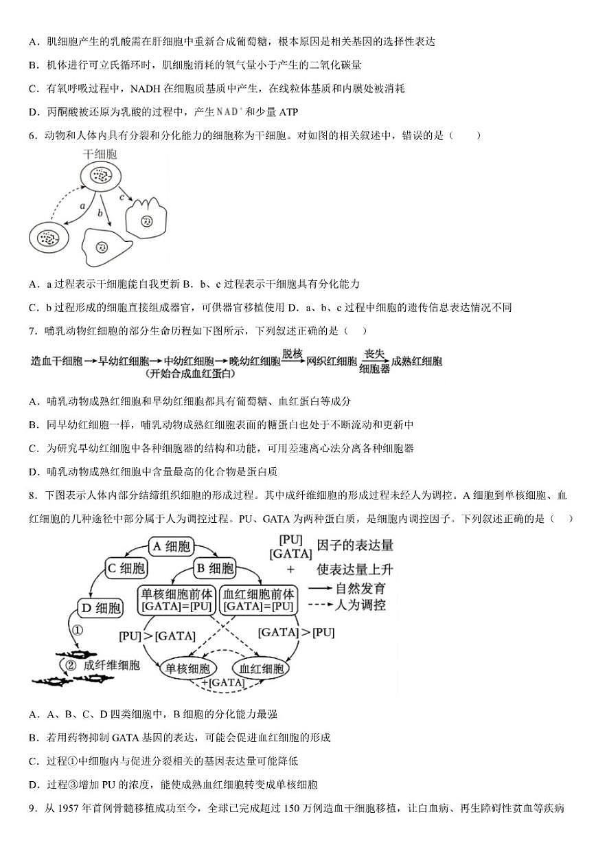 广西钦州市第四中学2025-2026学年高一上学期第十八周考试生物试卷（含答案）第3页