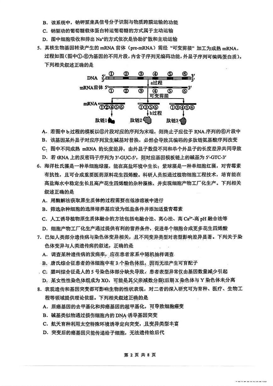 四川省绵阳市南山中学高2026届高三上1月第五次教学质量检测生物试卷（含解析）第2页