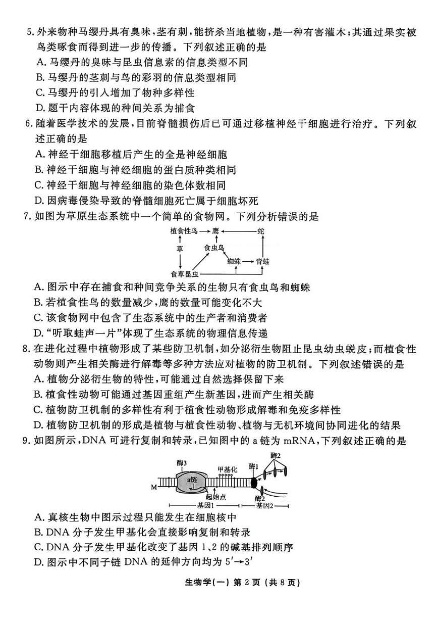2026届河北省沧州市沧县中学高三上一模生物试题（含解析）第2页