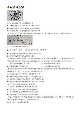 四川省德阳市2025—2026学年高一上学期期末考试生物试卷（无答案）第2页