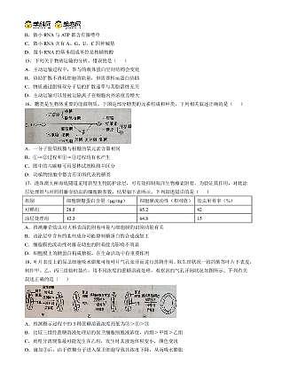 四川省德阳市2025—2026学年高一上学期期末考试生物试卷（无答案）第3页