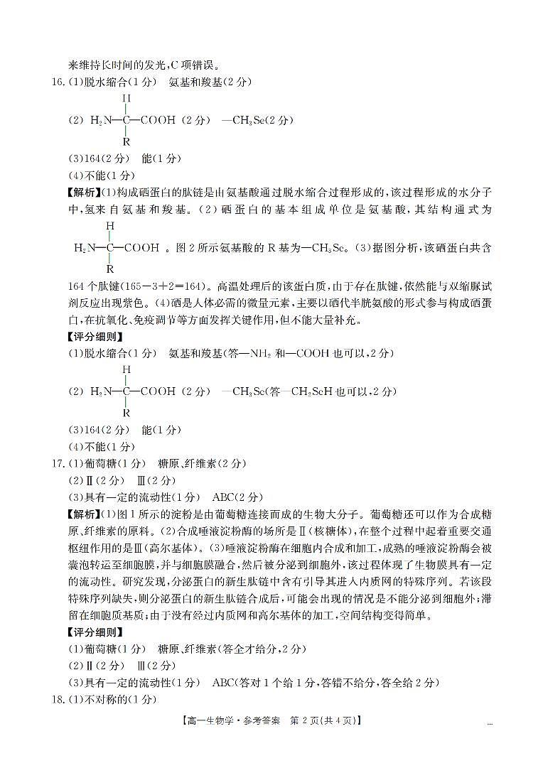 生物学答案_扫描版第2页