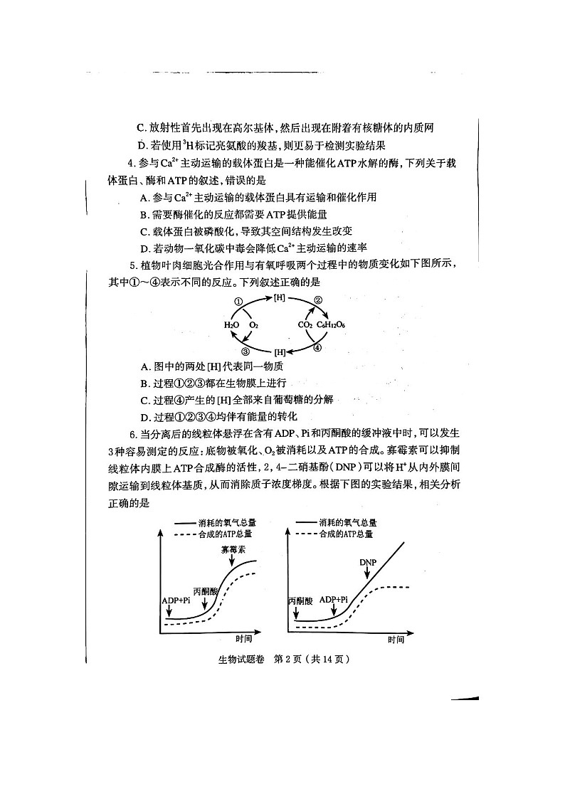 郑州市2025-2026学年高三上学期1月高考一模生物卷含答案第2页