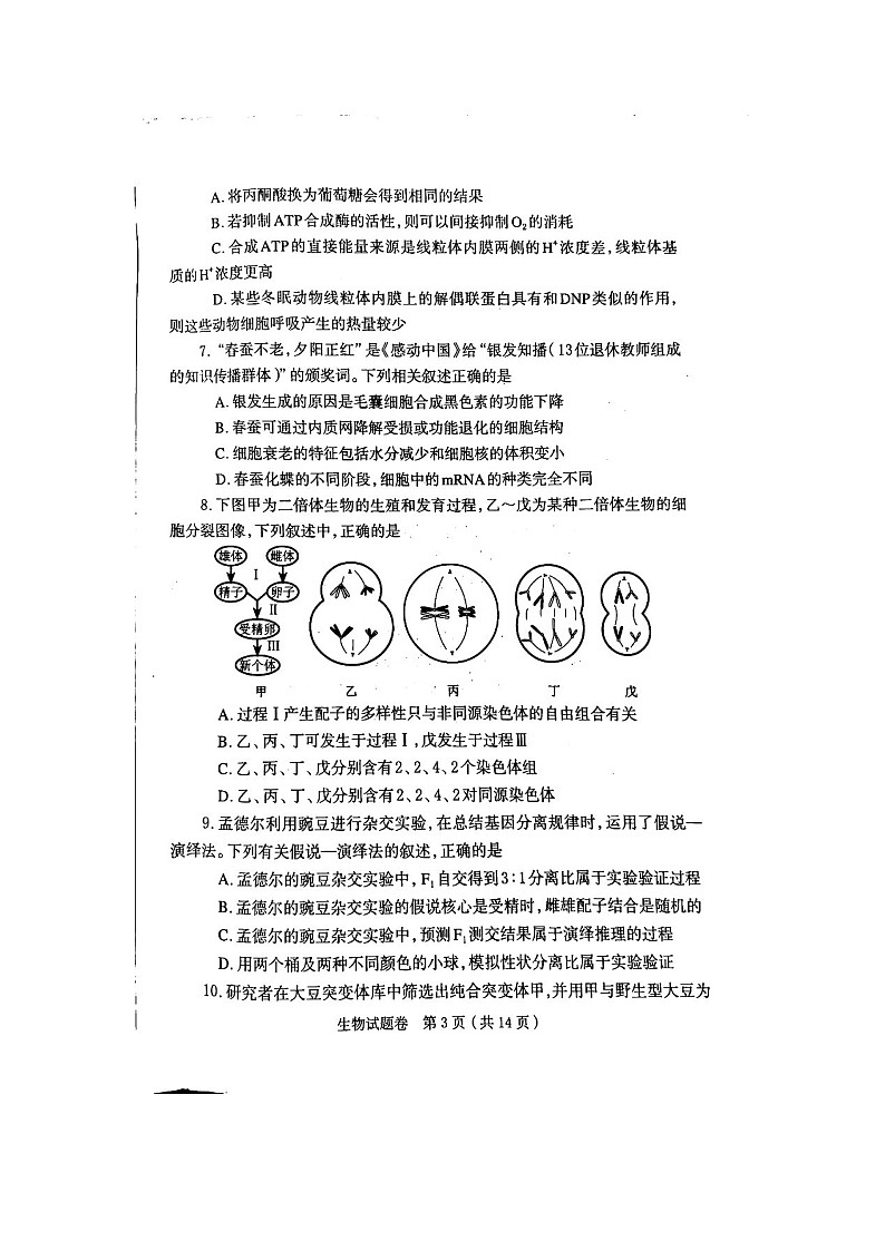 郑州市2025-2026学年高三上学期1月高考一模生物卷含答案第3页