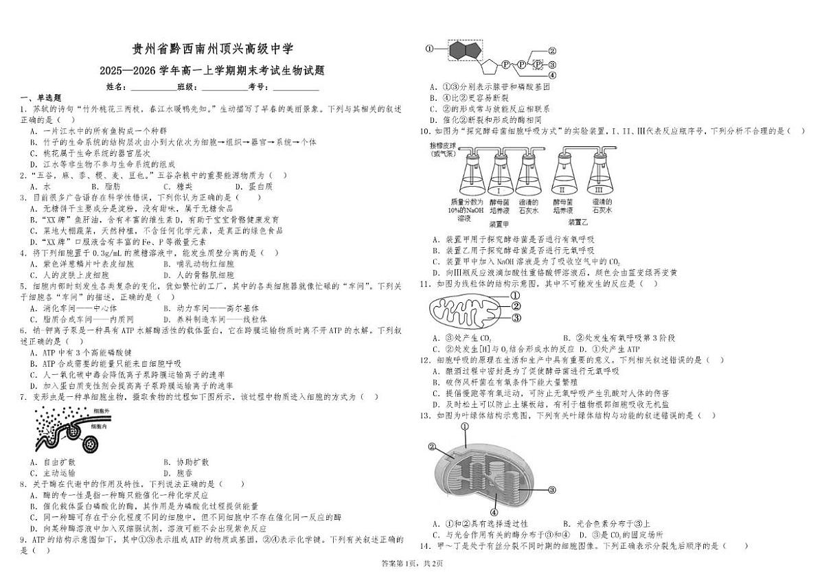 贵州黔西南州顶兴高级中学2025一2026学年高一上学期期末考试生物试题（含答案）第1页