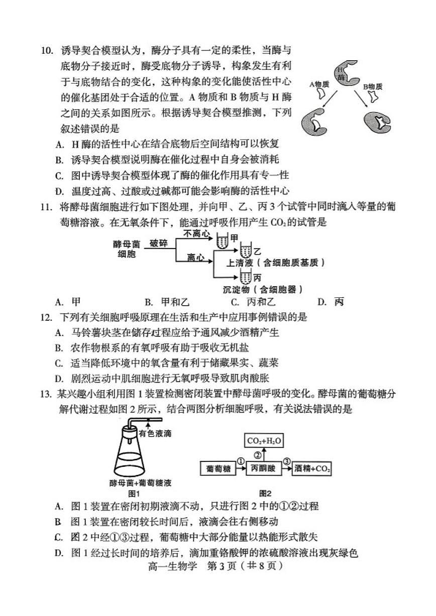 2025-2026学年福建龙岩市高一上学期期末教学质量检查生物学试题（含答案）第3页