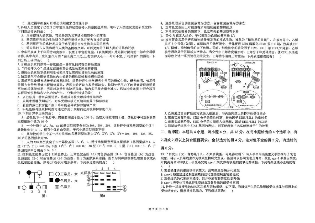 2026届江西省景德镇一中高三上学期期末考试生物试卷（含答案）第2页